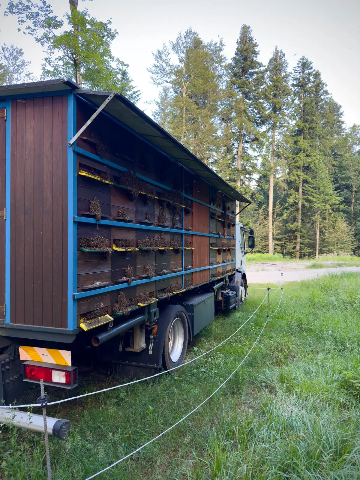 Prevozno čebelarstvo 22